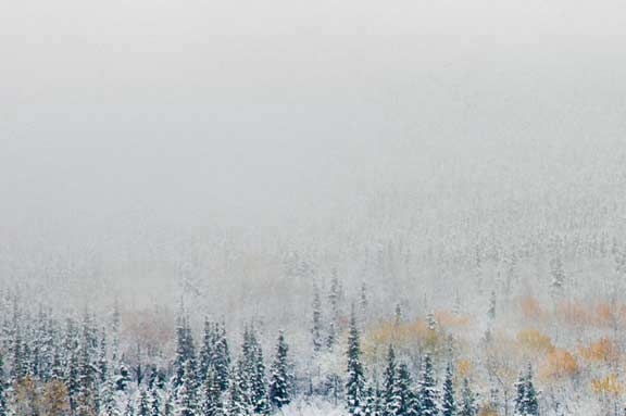 粉象生活推广可以做吗