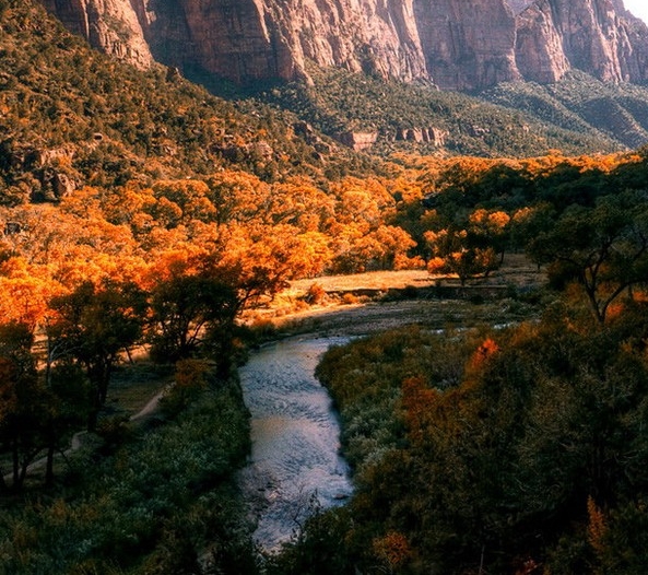 湖北口碑粉象生活好不好