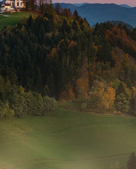 粉象生活申请信用卡容易通过吗