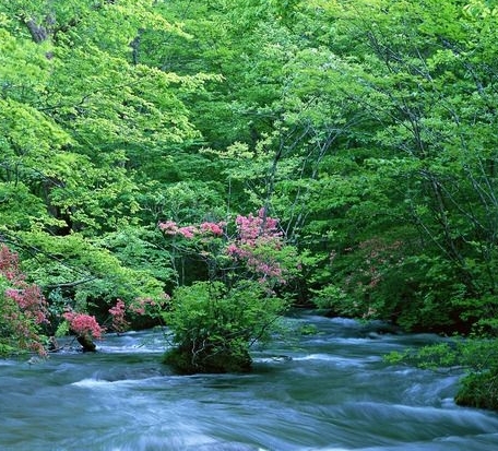 粉象生活邀请码