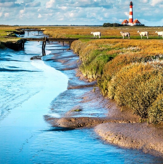 粉象生活邀请码