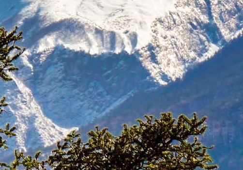 粉象生活的提现收费标准