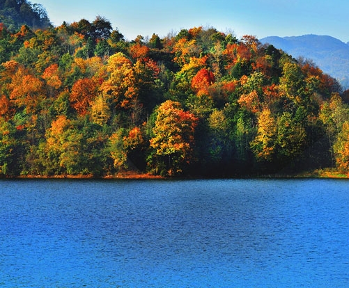 江苏高端粉象生活赚钱么