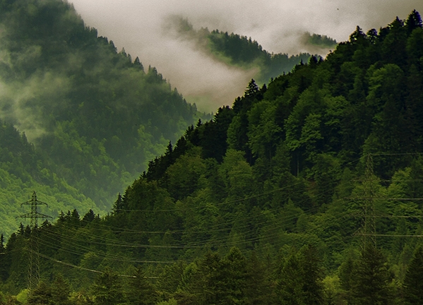 粉象生活如何推广