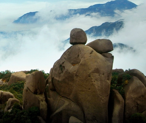 粉象生活下载后打开闪退