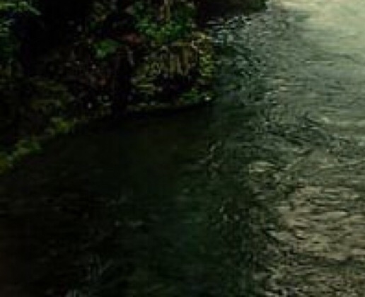 粉象生活可以赚钱吗