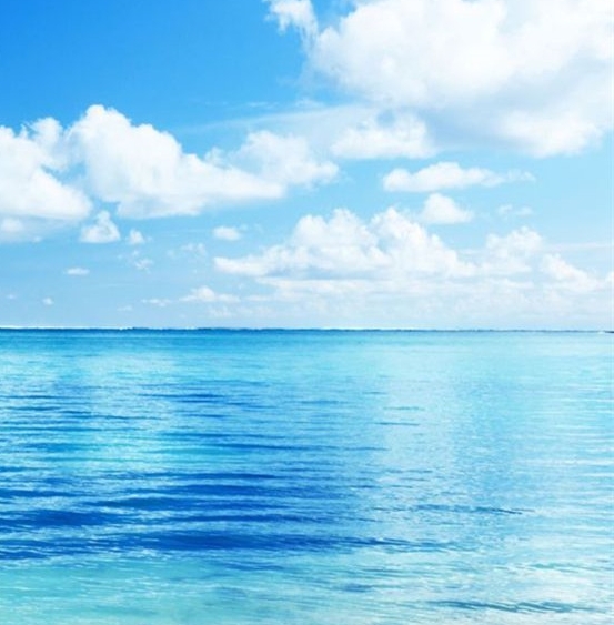 粉象生活邀请码