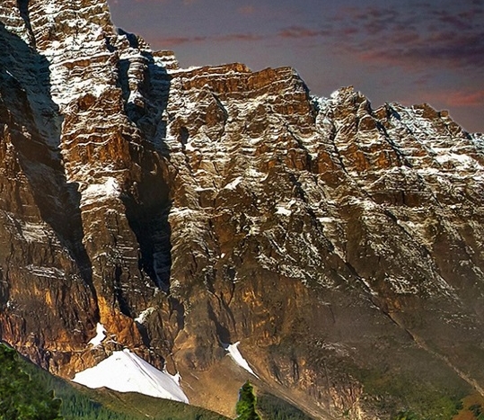 粉象生活邀请码