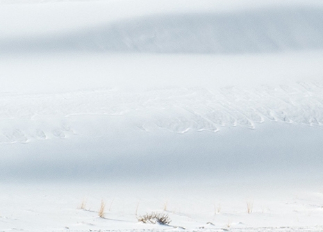 浙江口碑粉象生活靠谱么