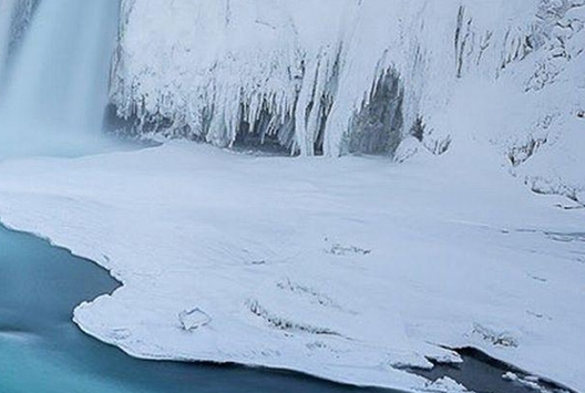 粉象生活是干什么的