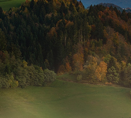 粉象生活邀请码