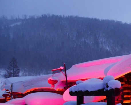 粉象生活明星直播