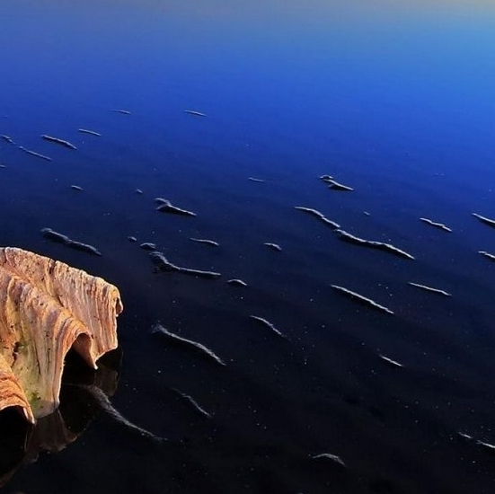 粉象生活的东西怎么分享