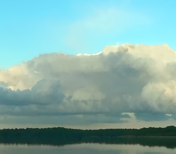 粉象生活下载app