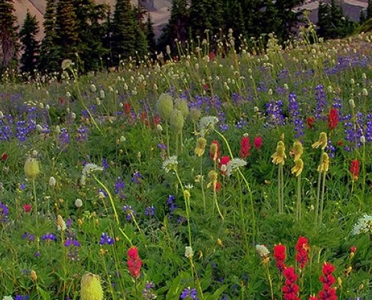 商洛生活怎么样