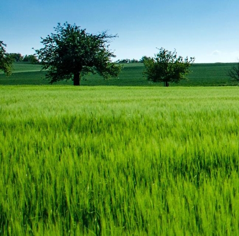 粉象生活新人福利界面