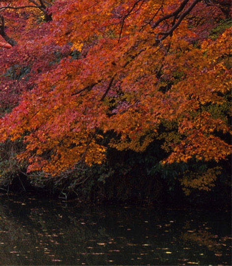 粉象生活如何自己发货