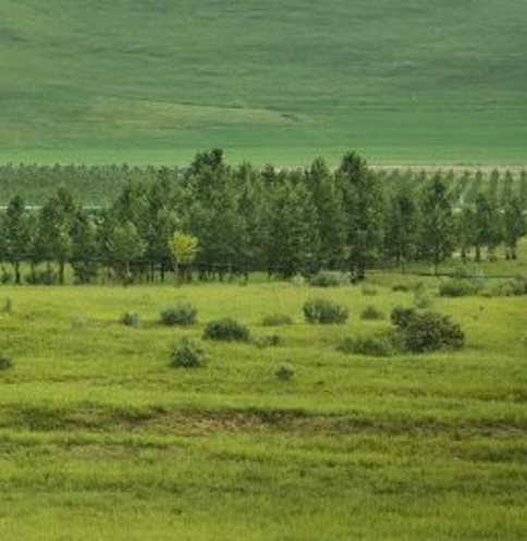 粉象生活怎么赚钱的