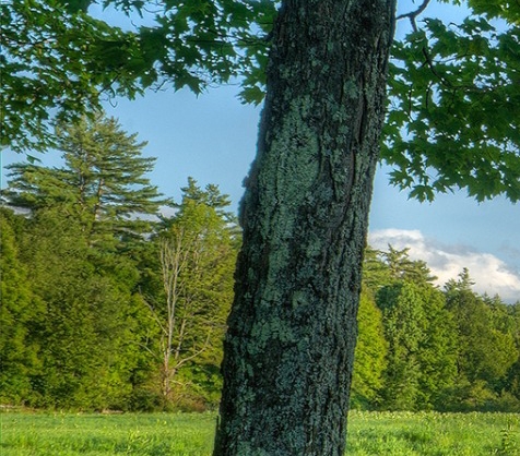佛山粉象生活合伙人