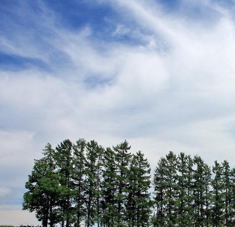 粉象生活推广一个多少钱