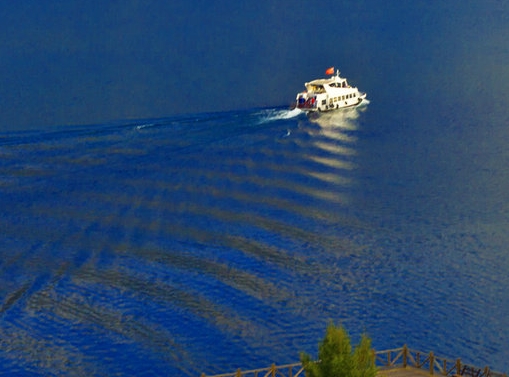 粉象生活下载app