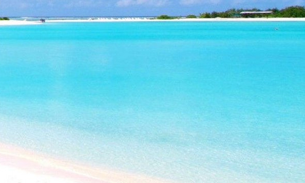 电商粉象生活是真的能赚钱吗?