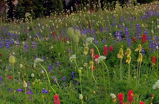 粉象生活怎么赚钱的