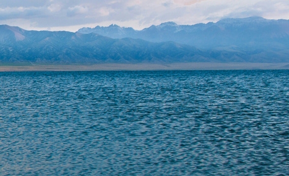 粉象生活合法吗