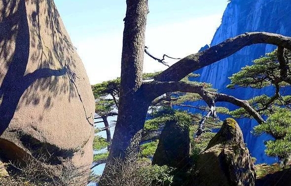 怎么投诉粉象生活