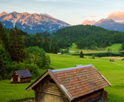 粉象生活里的返现要等一个月