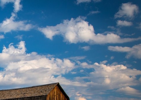 电商粉象生活可靠吗