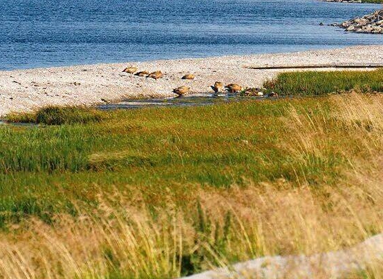 广东粉象生活如何使用