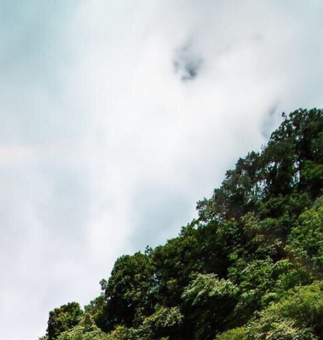 粉象生活的收益