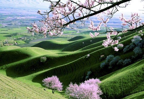 粉象生活CEO邀请码