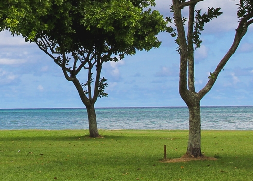 生活无忧空气炸锅怎么样