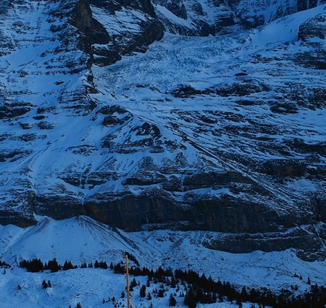 怎样更新粉象生活版本