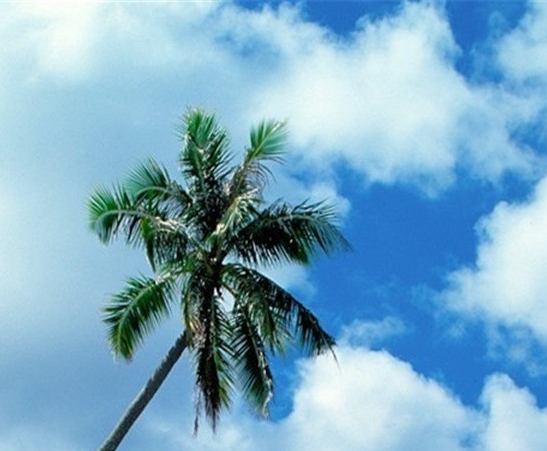 粉象生活邀请码