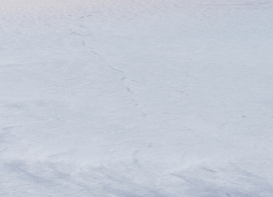 粉象生活和蜜源哪个更好