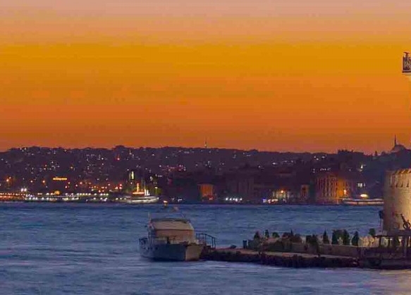 粉象生活撸羊毛