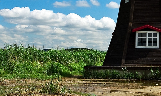 淘宝店家怎么入驻粉象生活