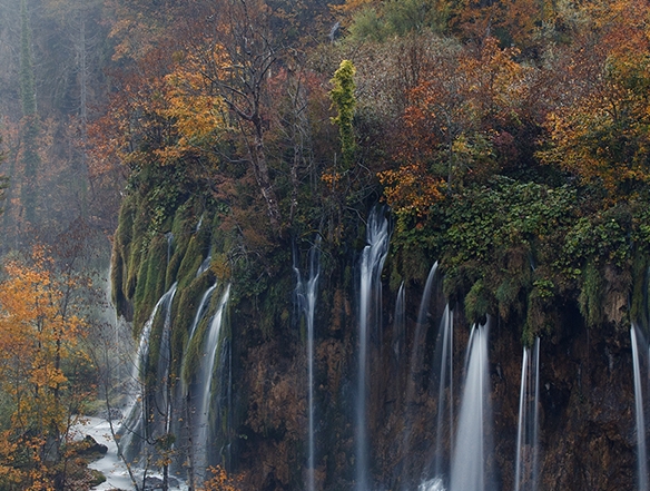 粉象生活新手怎么做
