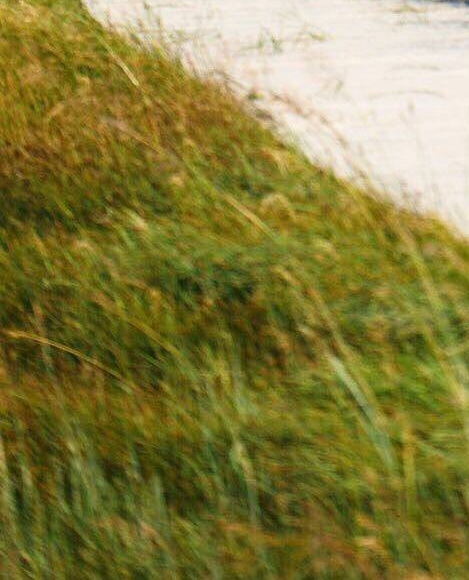 粉象生活真的可以省钱吗