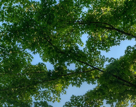 粉象生活需要电脑吗