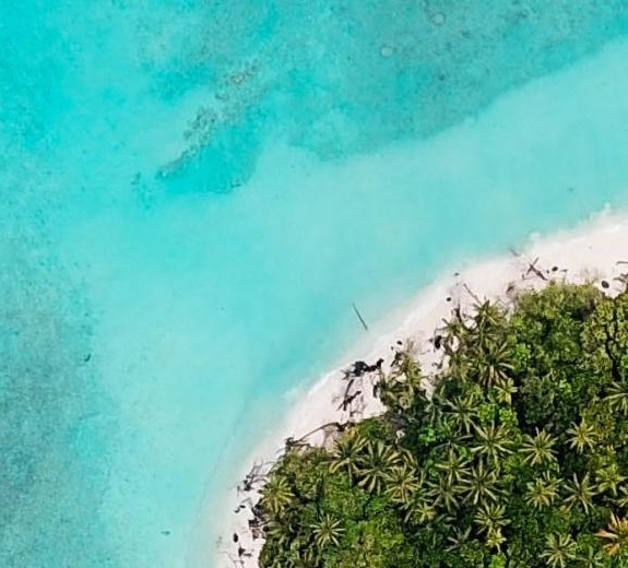 粉象生活邀请码