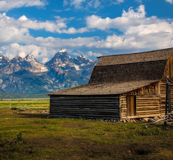 粉象生活怎么快速推广