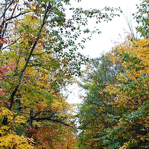 粉象生活邀请码