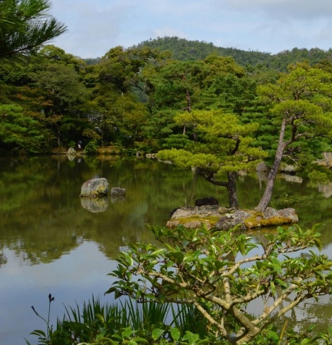 粉象生活app