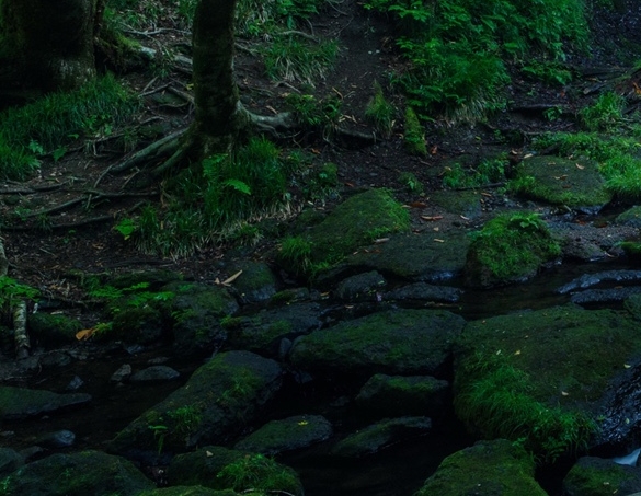 粉象生活怎么赚钱