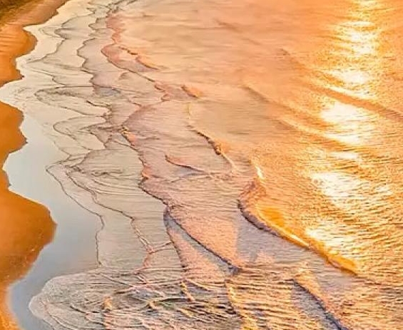 粉象生活全教程