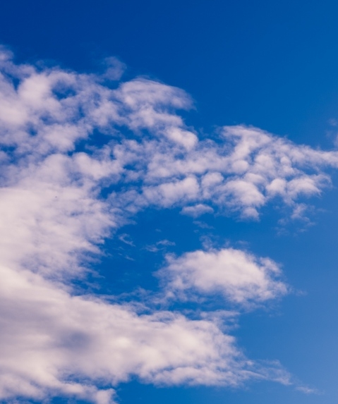 本地惠生活怎么入住